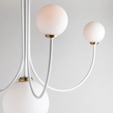 Load image into Gallery viewer, Coco Chandelier Detail.
