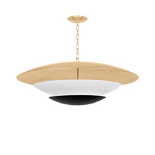 Load image into Gallery viewer, Adara Pendant Light.
