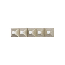 Load image into Gallery viewer, Max Bath Vanity Light in Silver Leaf (5-Light).
