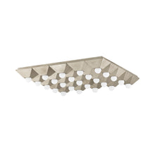 Load image into Gallery viewer, Max Flush Mount Ceiling Light in Silver Leaf (25-Light).
