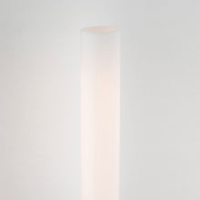 Load image into Gallery viewer, Cornwall Bath Wall Light in Detail.
