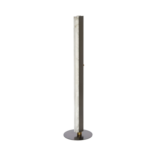Artes LED Floor Lamp.