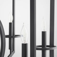 Load image into Gallery viewer, Oxalis Chandelier in Detail.
