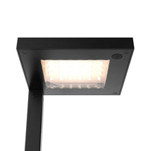 Load image into Gallery viewer, Edge LED Path Light in Detail.
