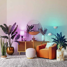 Load image into Gallery viewer, DALS Connect Pro Smart A21 LED Bulb in living room.
