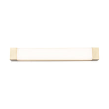 Load image into Gallery viewer, Darcy LED Bath Vanity Light in Large/Aged Brass.
