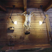 Load image into Gallery viewer, Lampe Gras N°304L40 LED Ceiling / Wall Light in living room.
