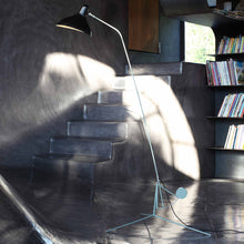 Load image into Gallery viewer, Mantis BS1 LED Floor Lamp in living room.
