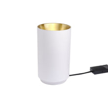 Load image into Gallery viewer, Tobo 140 Floor Lamp in Matt White.
