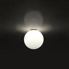Load image into Gallery viewer, Dioscuri Indoor/Outdoor Ceiling/Wall Light in Detail.
