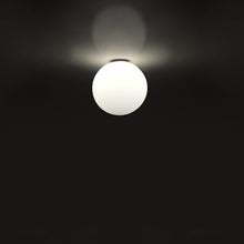 Load image into Gallery viewer, Dioscuri Indoor/Outdoor Ceiling/Wall Light in Small.
