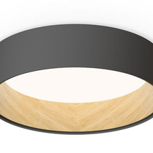 Load image into Gallery viewer, Duo LED Flush Mount Ceiling Light in Detail.
