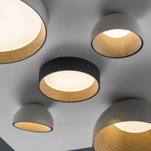 Load image into Gallery viewer, Duo LED Flush Mount Ceiling Light in Detail.
