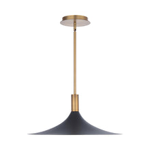 Load image into Gallery viewer, Cochere LED Pendant Light.
