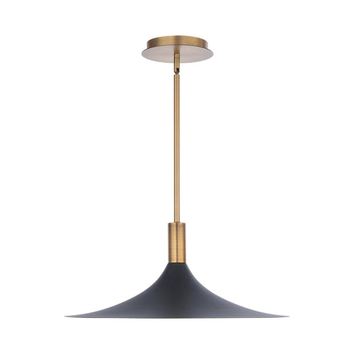 Cochere LED Pendant Light.