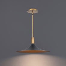 Load image into Gallery viewer, Cochere LED Pendant Light in Detail.
