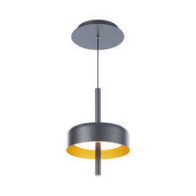 Load image into Gallery viewer, Pierce LED Mini Pendant Light in Black/Gold.
