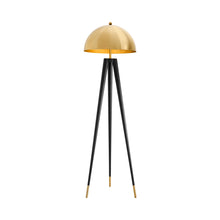 Load image into Gallery viewer, Coyote Floor Lamp.

