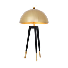 Load image into Gallery viewer, Coyote Table Lamp in Detail.
