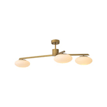 Load image into Gallery viewer, Evergreen Chandelier (3-Light).
