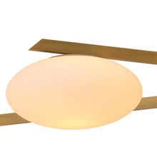 Load image into Gallery viewer, Evergreen Chandelier in Detail.
