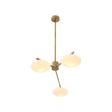 Load image into Gallery viewer, Evergreen Chandelier in Detail.
