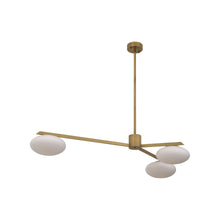 Load image into Gallery viewer, Evergreen Chandelier in Detail.

