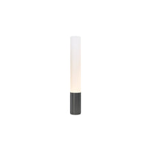 Load image into Gallery viewer, Elise Floor Lamp in Black/Aluminum (Small).
