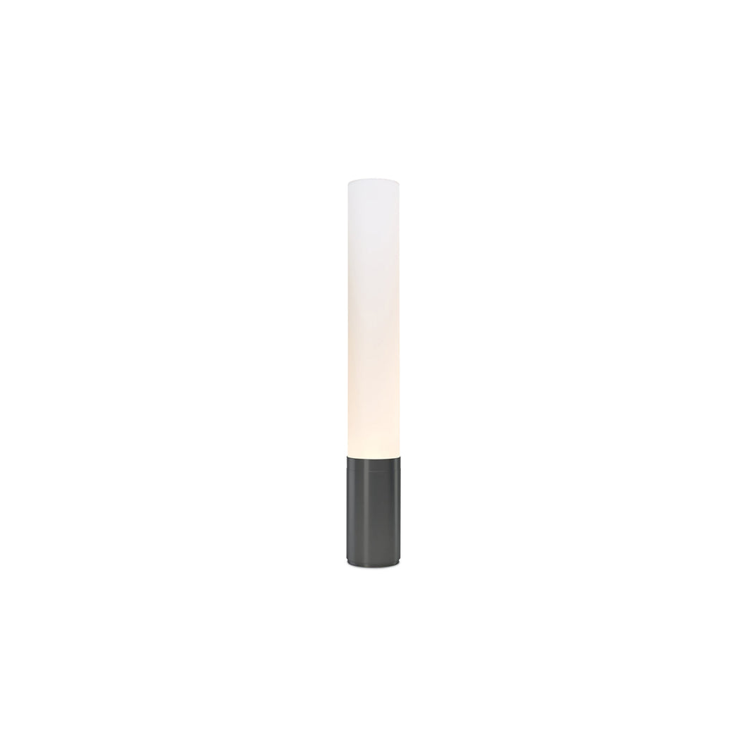 Elise Floor Lamp in Black/Aluminum (Small).