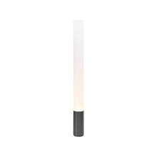 Load image into Gallery viewer, Elise Floor Lamp in Black/Aluminum (Medium).
