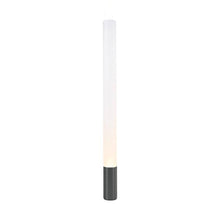 Load image into Gallery viewer, Elise Floor Lamp in Black/Aluminum (Large).
