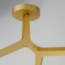 Load image into Gallery viewer, Blossom Flush Mount Ceiling Light in Detail.
