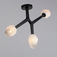 Load image into Gallery viewer, Blossom Flush Mount Ceiling Light in Detail.
