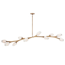 Load image into Gallery viewer, Blossom Linear Pendant Light in Natural Aged Brass (10-Light).
