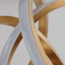 Load image into Gallery viewer, Signature LED Pendant Light in Detail.
