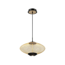 Load image into Gallery viewer, Park LED Pendant Light (Small).
