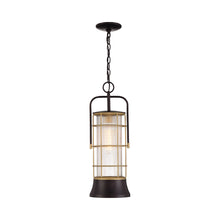Load image into Gallery viewer, Rivamar Outdoor Pendant Light.
