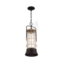 Load image into Gallery viewer, Rivamar Outdoor Pendant Light in Detail.
