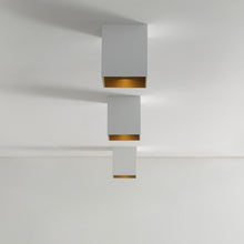 Load image into Gallery viewer, Exo LED Flush Mount Ceiling Light in - Exhibition.
