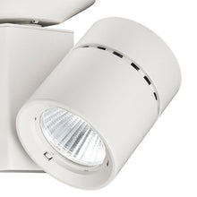 Load image into Gallery viewer, Exterminator II 1035 LED Monopoint in Detail.
