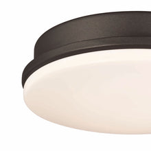 Load image into Gallery viewer, Kute LED Light Kit in Detail.
