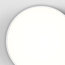 Load image into Gallery viewer, Febe LED Ceiling/Wall Light in Detail.
