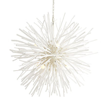 Load image into Gallery viewer, Finch Chandelier in Detail.
