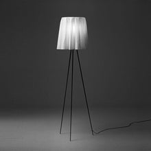 Load image into Gallery viewer, Rosy Angelis Floor Lamp In Use
