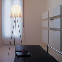 Load image into Gallery viewer, Rosy Angelis Floor Lamp Illuminated
