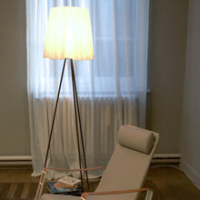 Load image into Gallery viewer, Rosy Angelis Floor Lamp In Use
