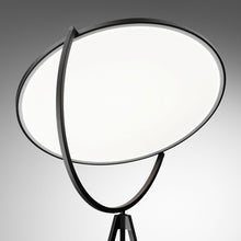 Load image into Gallery viewer, Detail
