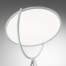 Load image into Gallery viewer, Detail
