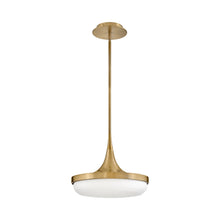 Load image into Gallery viewer, Elsa LED Pendant Light in Detail.
