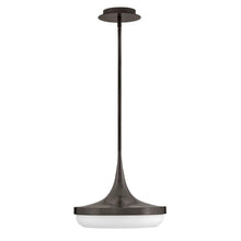 Load image into Gallery viewer, Elsa LED Pendant Light in Detail.
